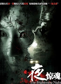 夜惊魂（2011）