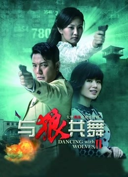 与狼共舞2DVD版