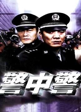 警中警